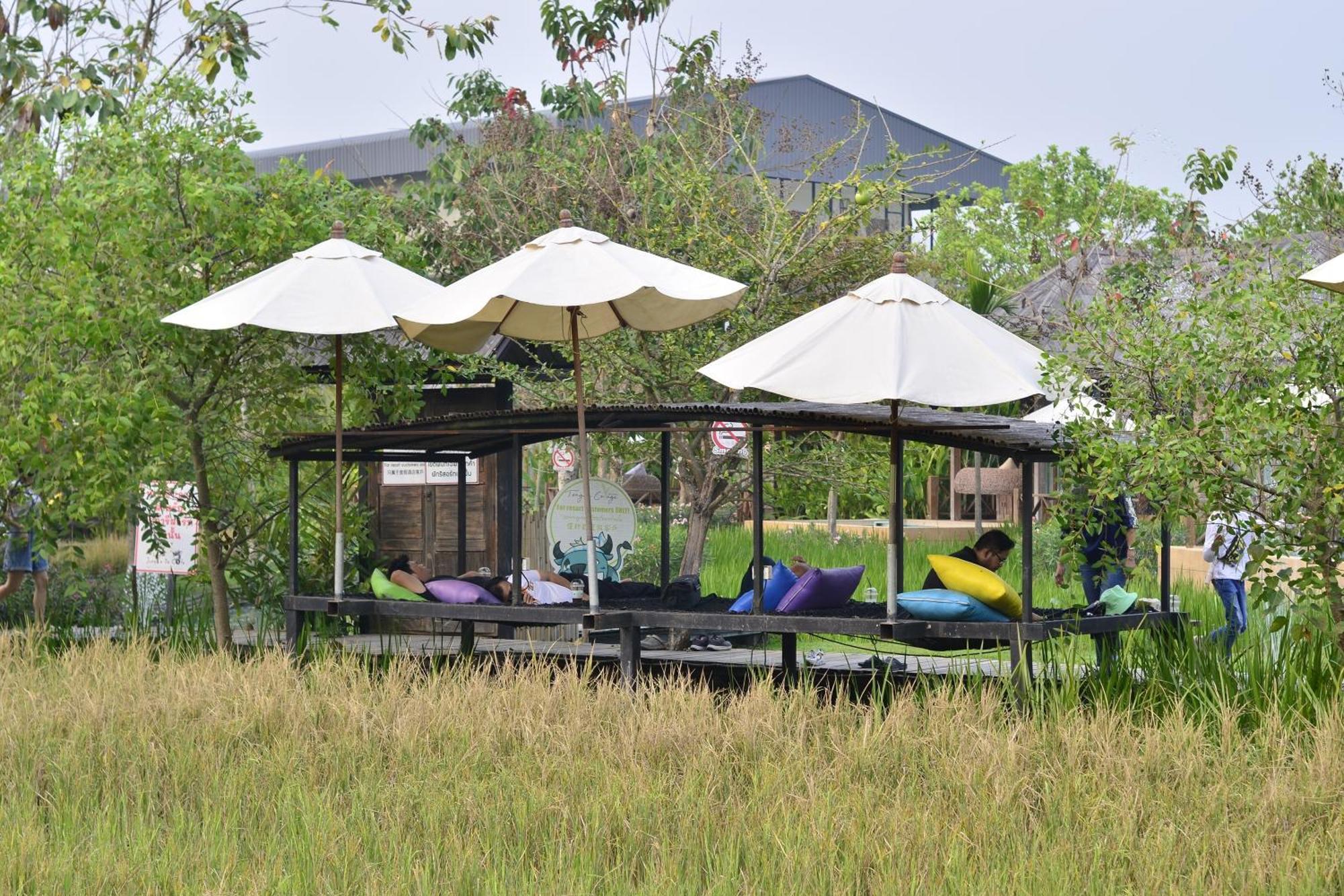 Tongna Cottage Natural Resort Chiang Mai Eksteriør billede